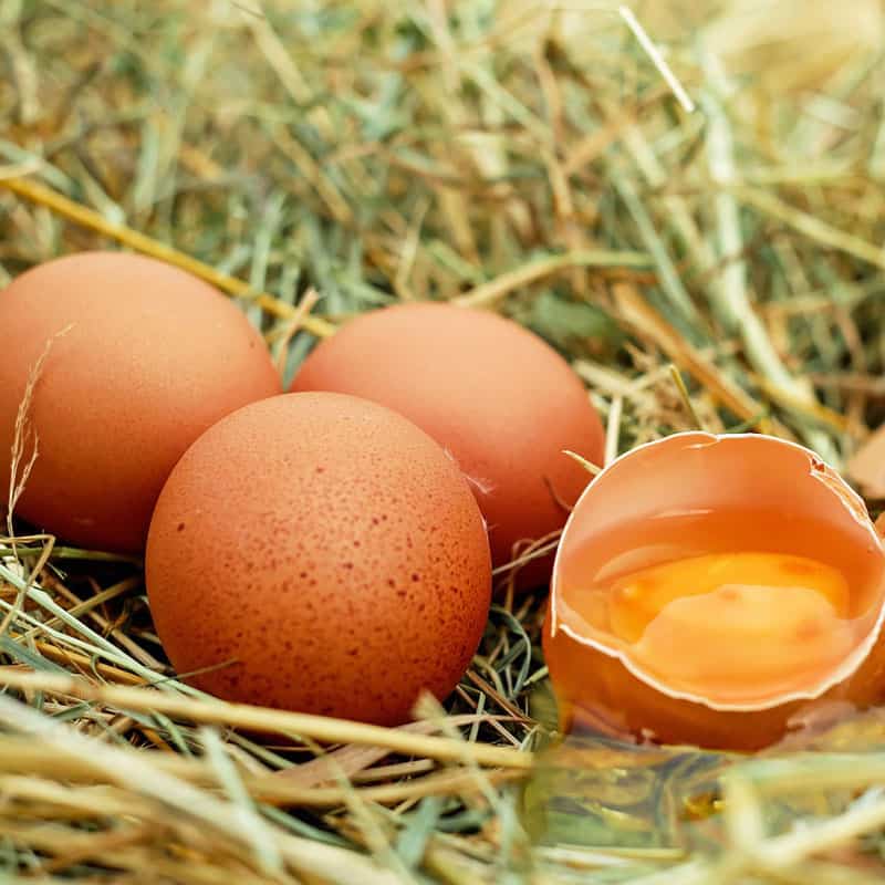  Αυγό : Η παρεξηγημένη τροφή 